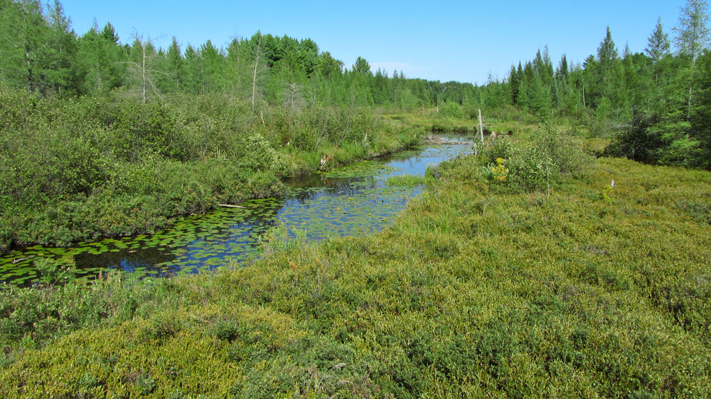 Bearskin State Trail Image