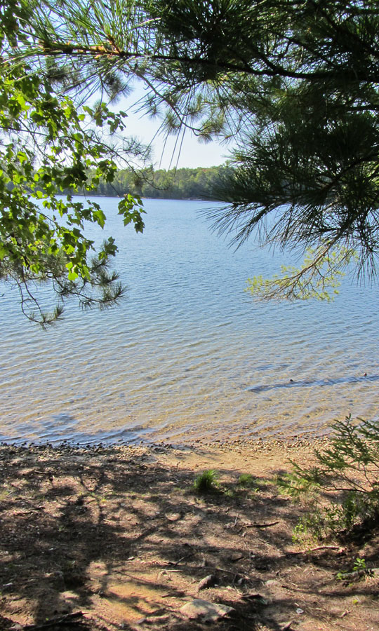 Bearskin State Trail Image