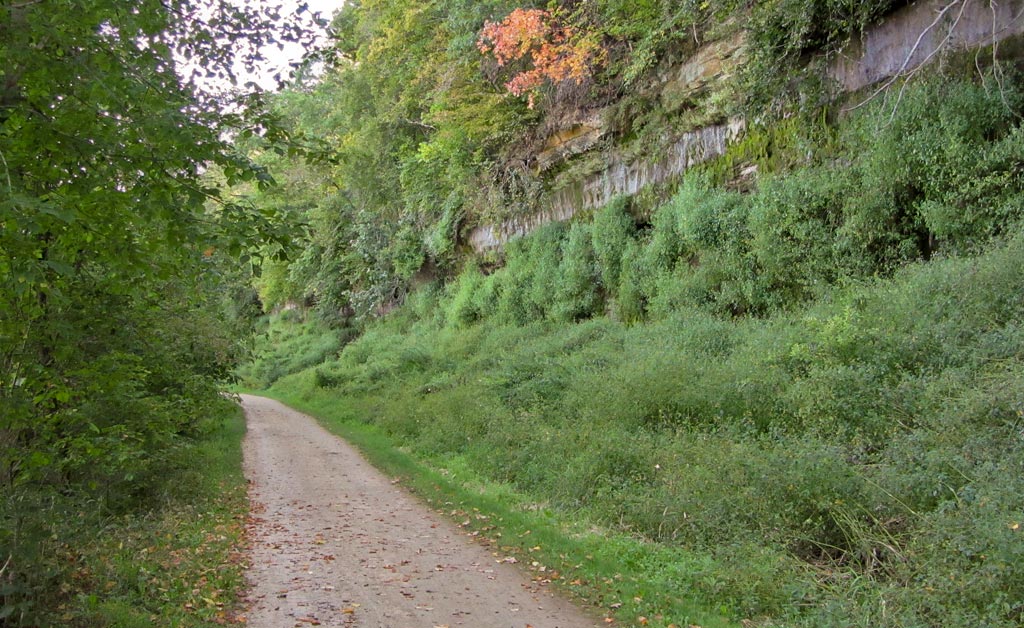 Red Cedar State Trail Image