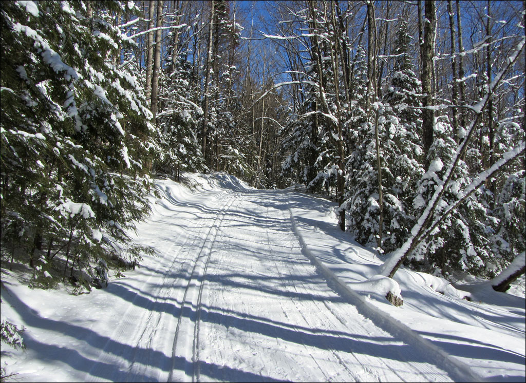 Anvil National Recreation Trail Image