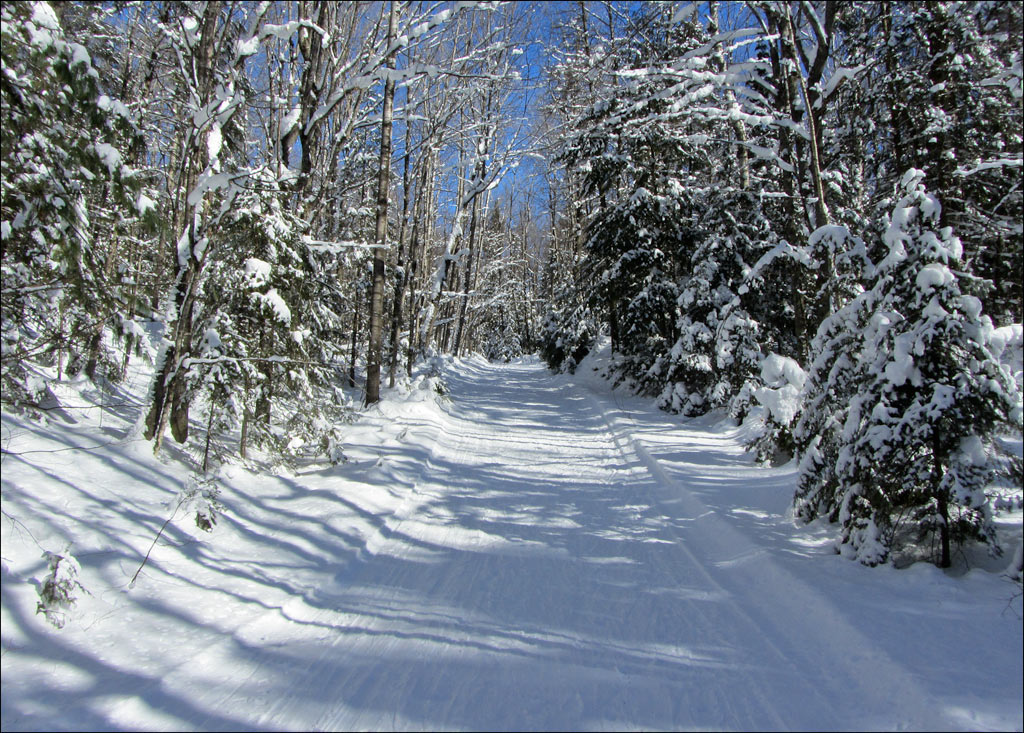 Anvil National Recreation Trail Image