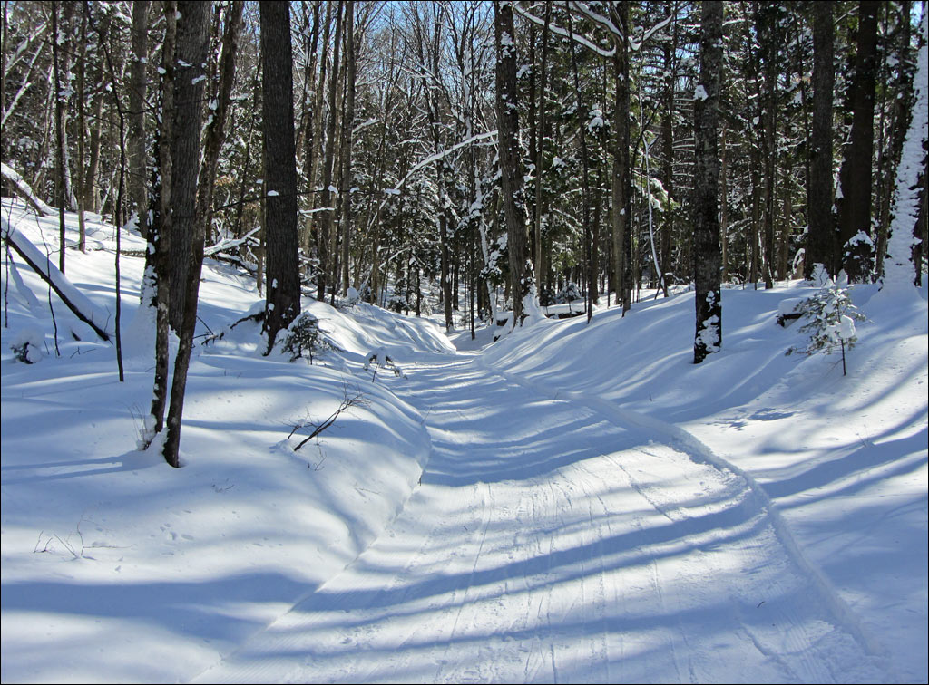 Anvil National Recreation Trail Image