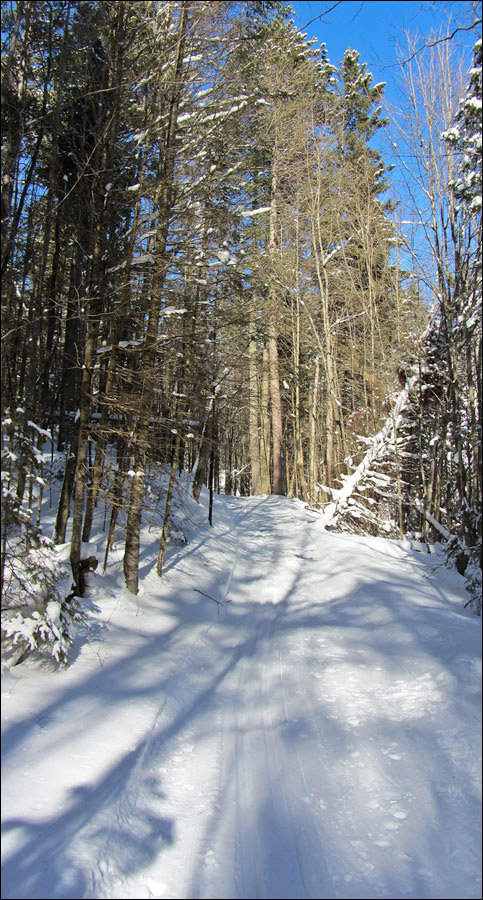 Anvil National Recreation Trail Image