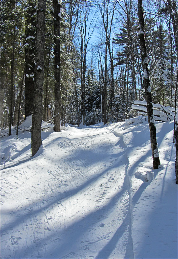 Anvil National Recreation Trail Image