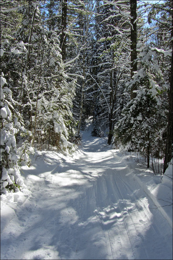 Anvil National Recreation Trail Image