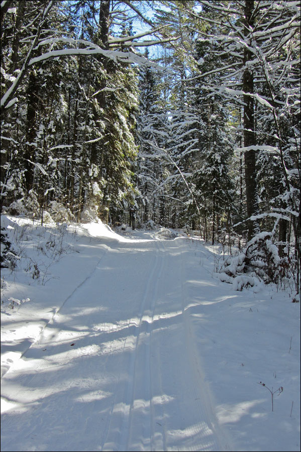 Anvil National Recreation Trail Image