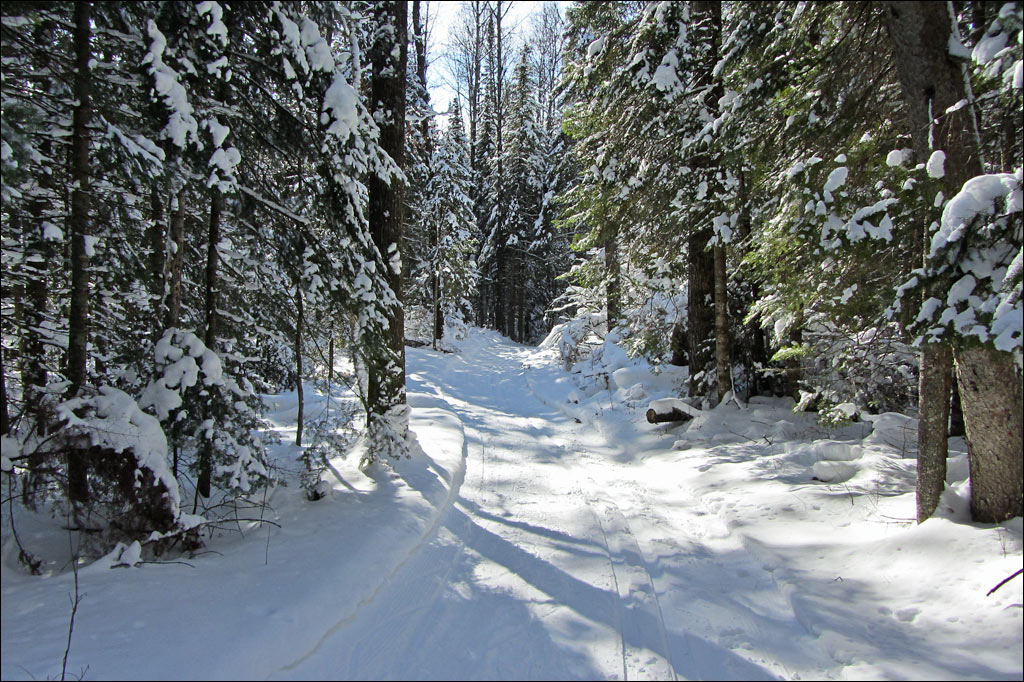 Anvil National Recreation Trail Image