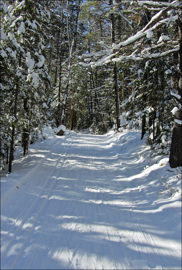Anvil National Recreation Trail Image