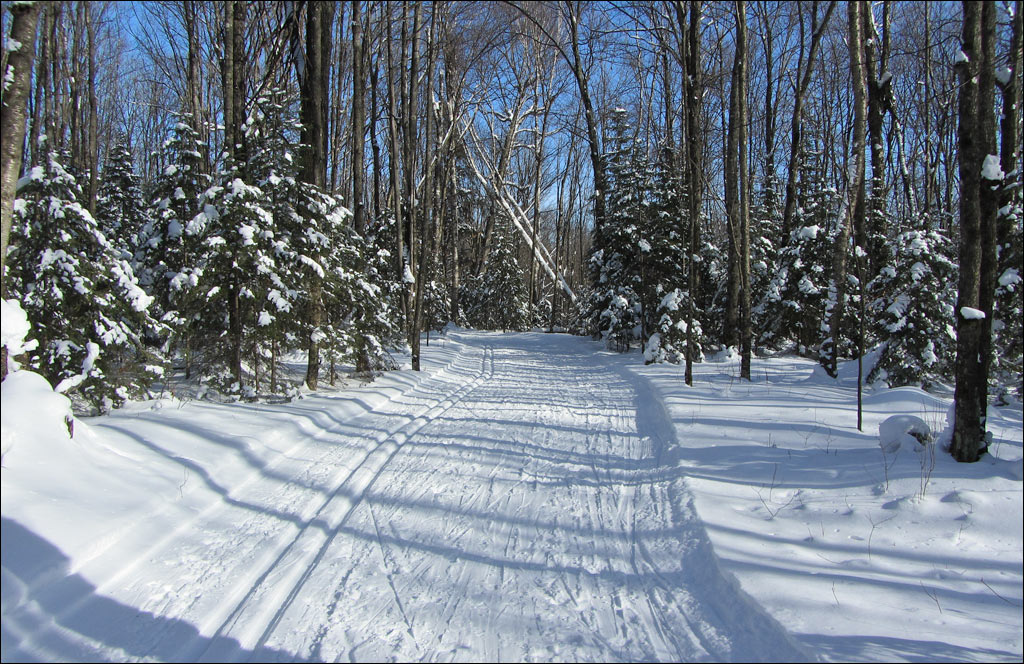 Anvil National Recreation Trail Image