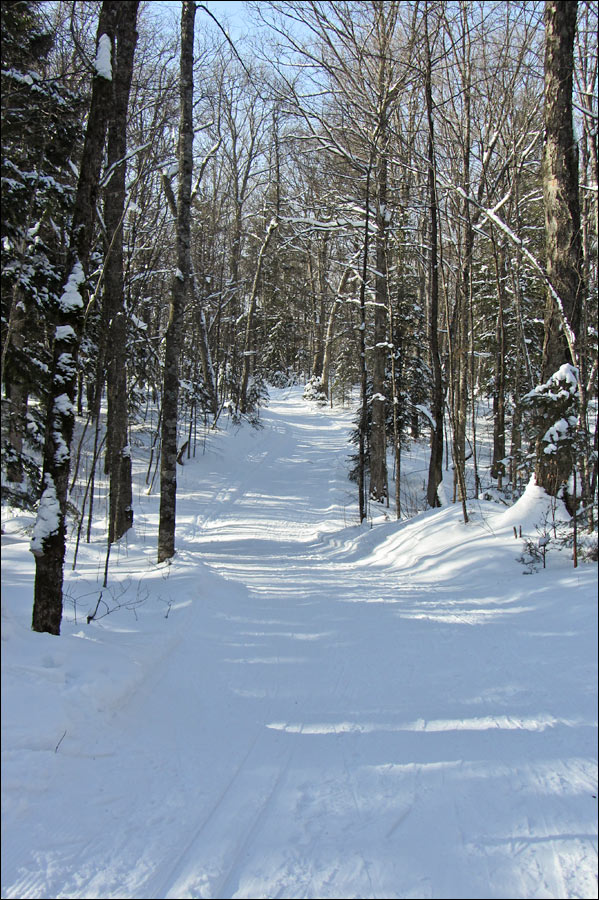 Anvil National Recreation Trail Image