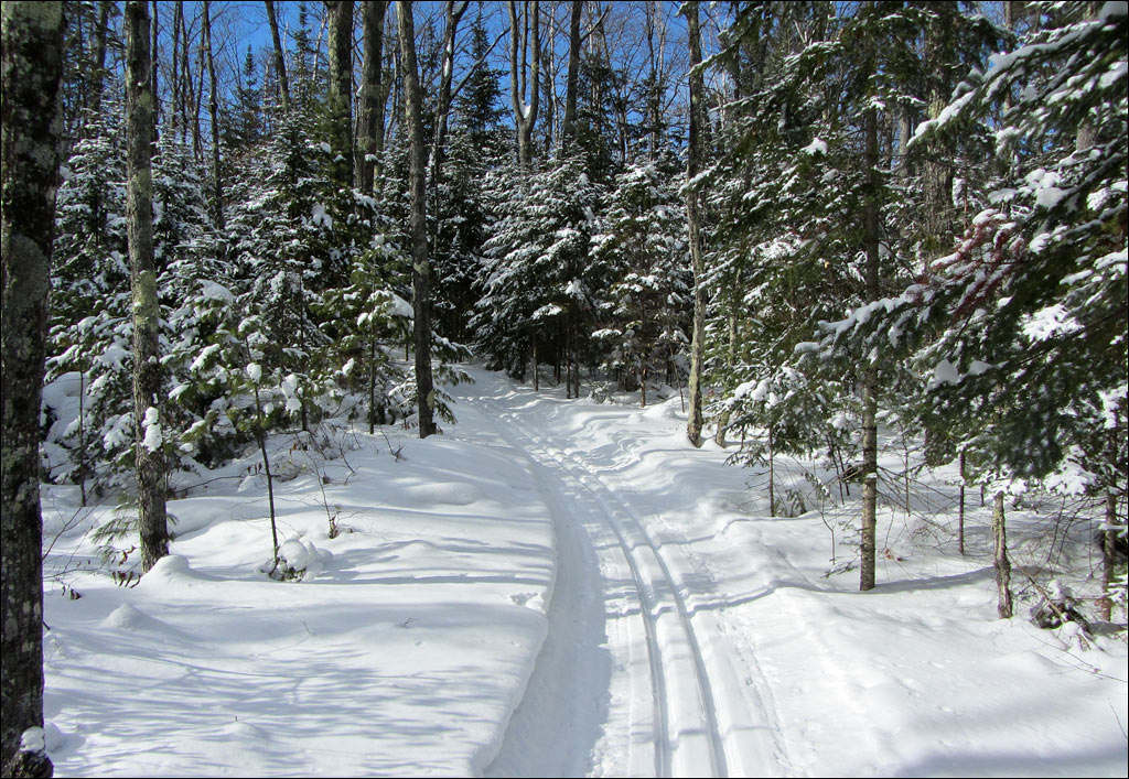 Escanaba Lake Ski Trail Image