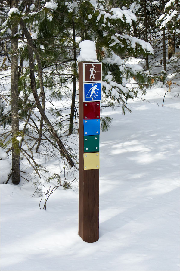 Escanaba Lake Ski Trail Image