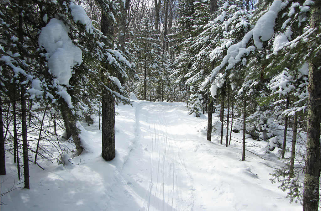 Escanaba Lake Ski Trail Image