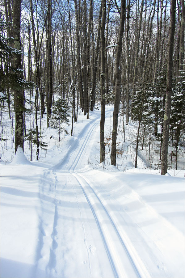Escanaba Lake Ski Trail Image