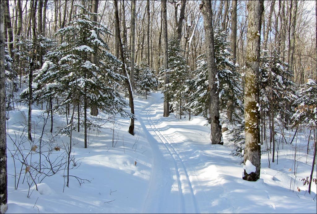Escanaba Lake Ski Trail Image