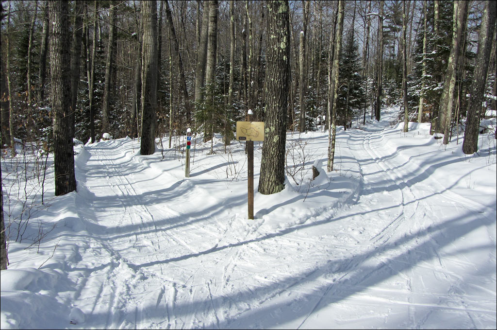 Escanaba Lake Ski Trail Image