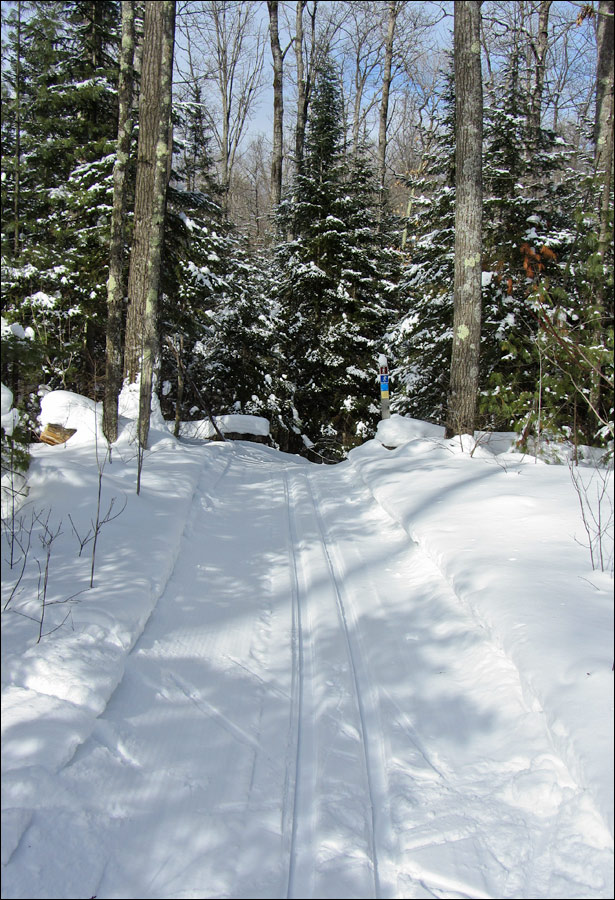 Escanaba Lake Ski Trail Image