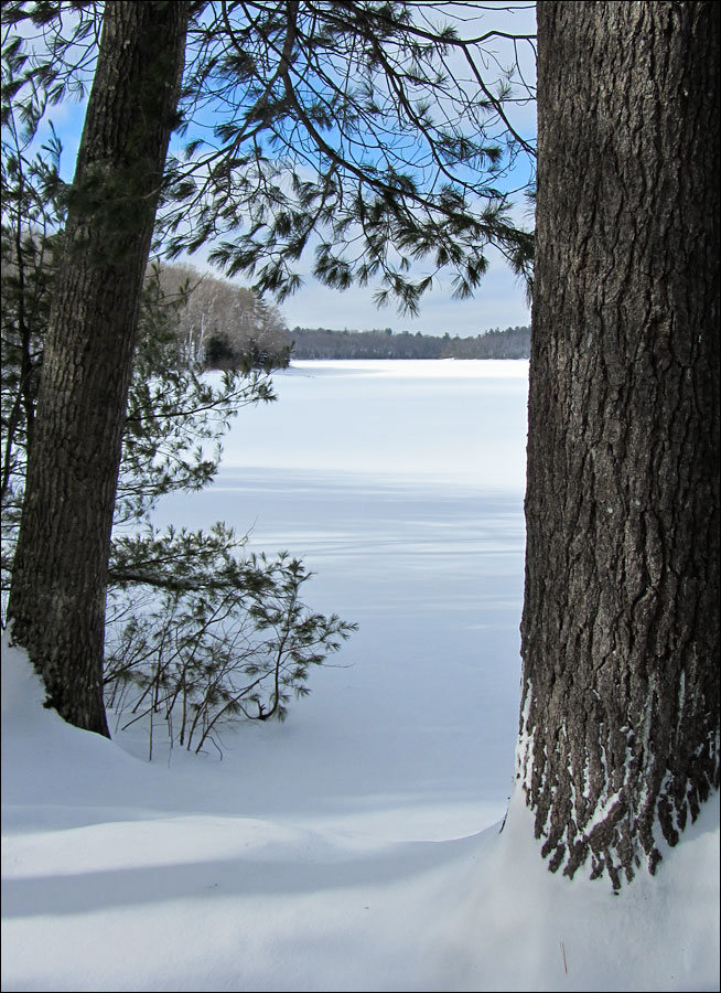 Escanaba Lake Ski Trail Image