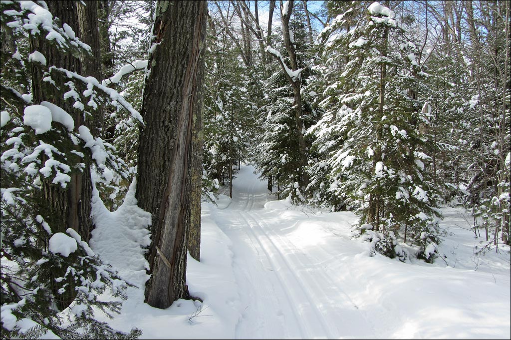 Escanaba Lake Ski Trail Image
