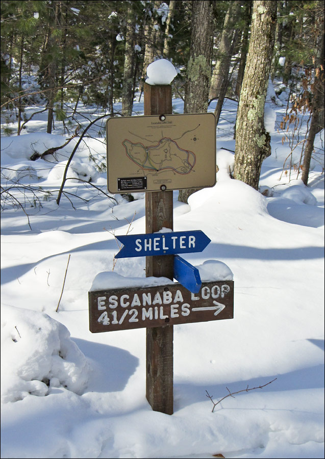 Escanaba Lake Ski Trail Image