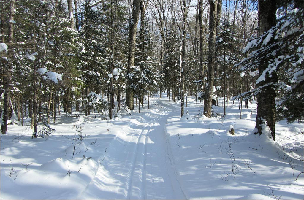 Escanaba Lake Ski Trail Image