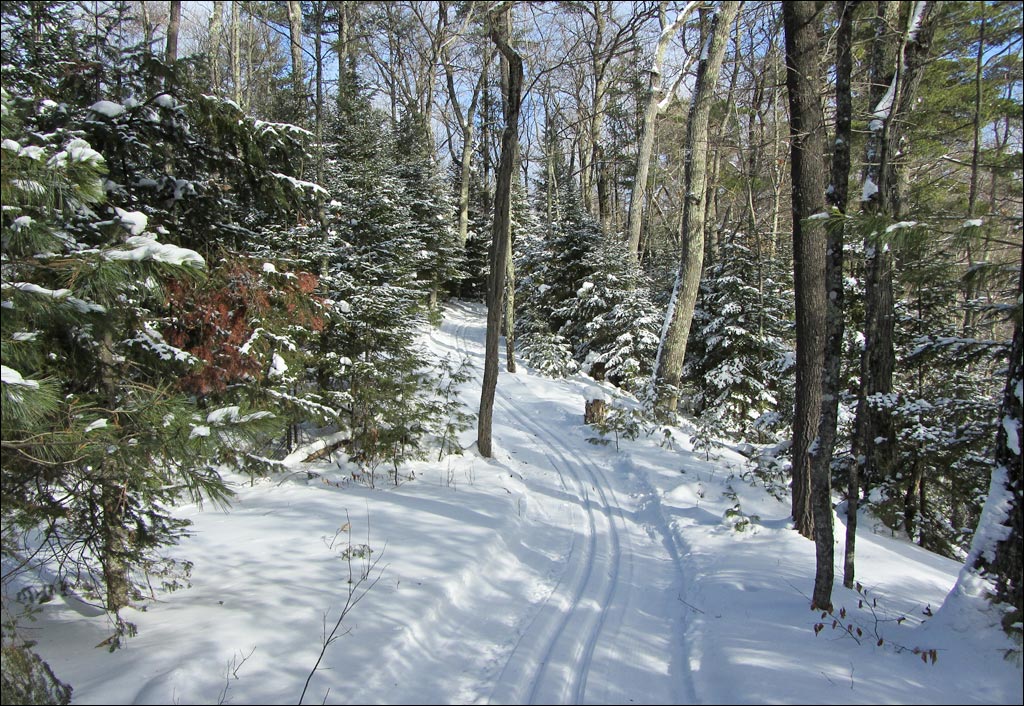 Escanaba Lake Ski Trail Image