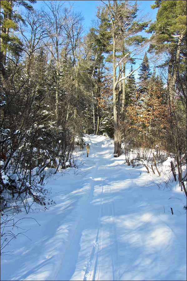 Escanaba Lake Ski Trail Image