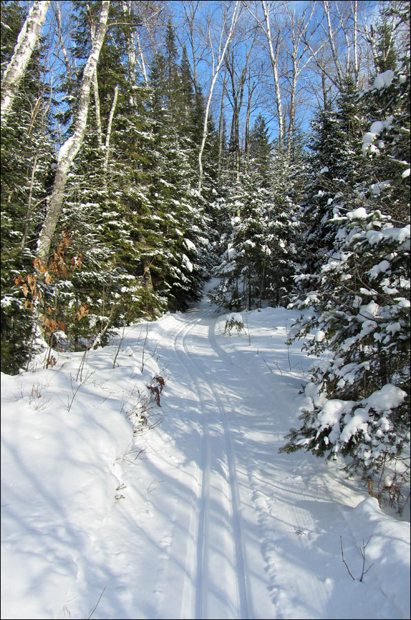 Escanaba Lake Ski Trail Image