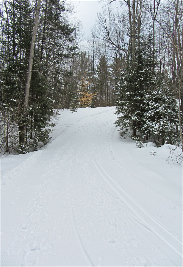 Lakewood Ski Trail Image