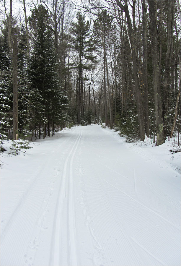 Lakewood Ski Trail Image