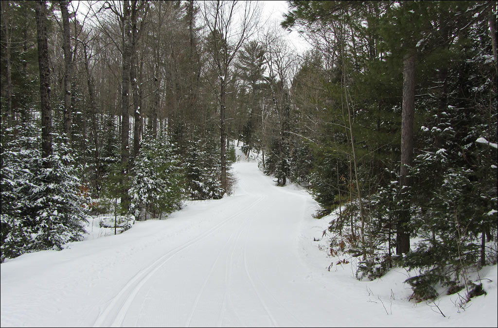 Lakewood Ski Trail Image
