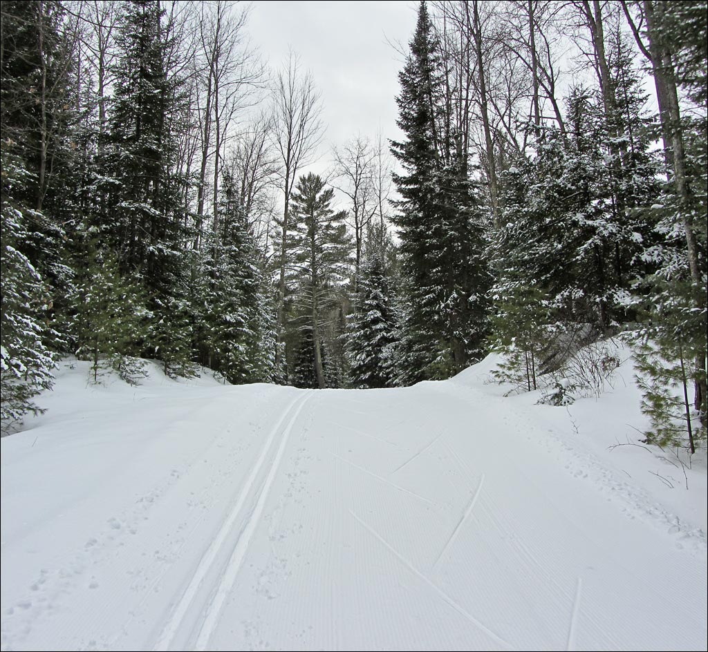 Lakewood Ski Trail Image