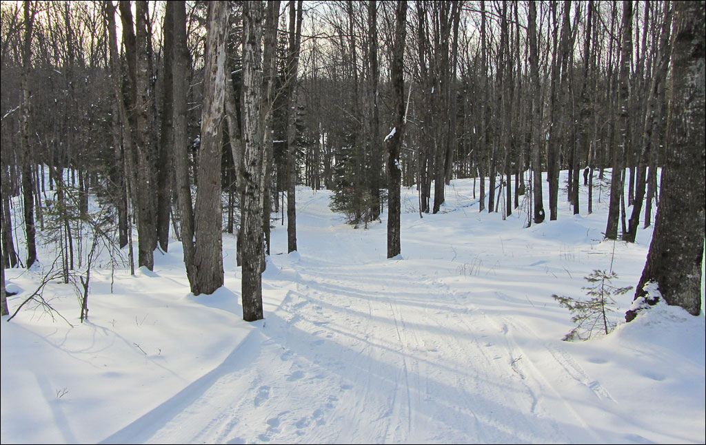 Lauterman National Recreation Trail Image