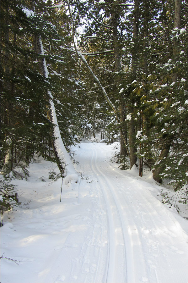Lauterman National Recreation Trail Image