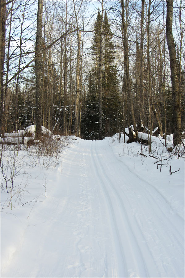Lauterman National Recreation Trail Image