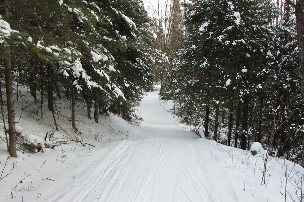 Lauterman National Recreation Trail Image