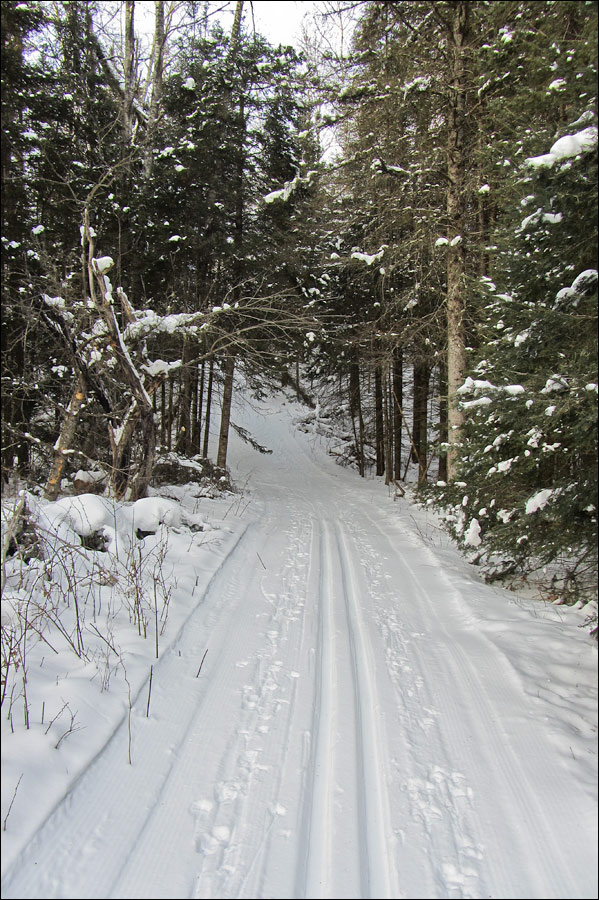 Lauterman National Recreation Trail Image