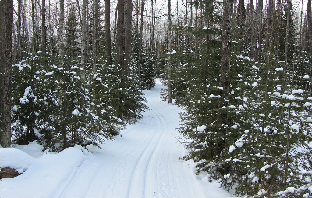 Lauterman National Recreation Trail Image