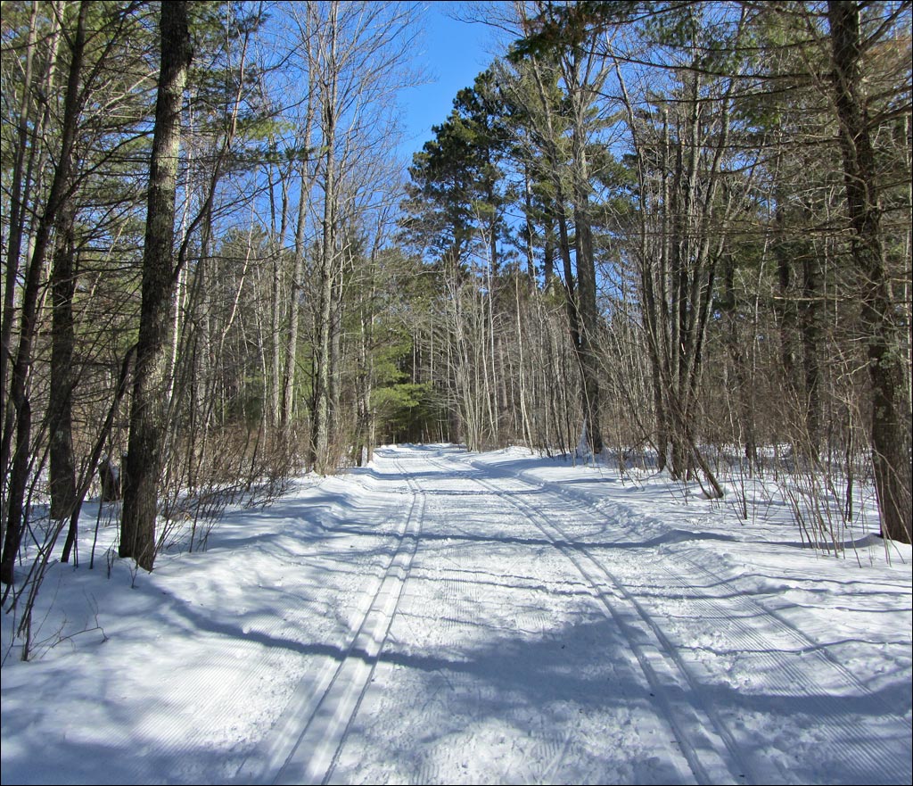Madeline Lake Trail Image