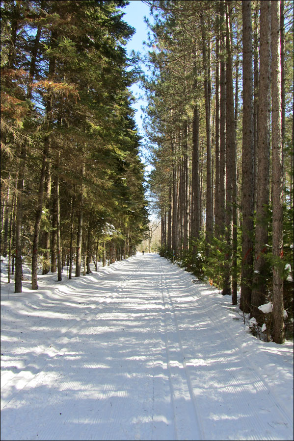 Madeline Lake Trail Image