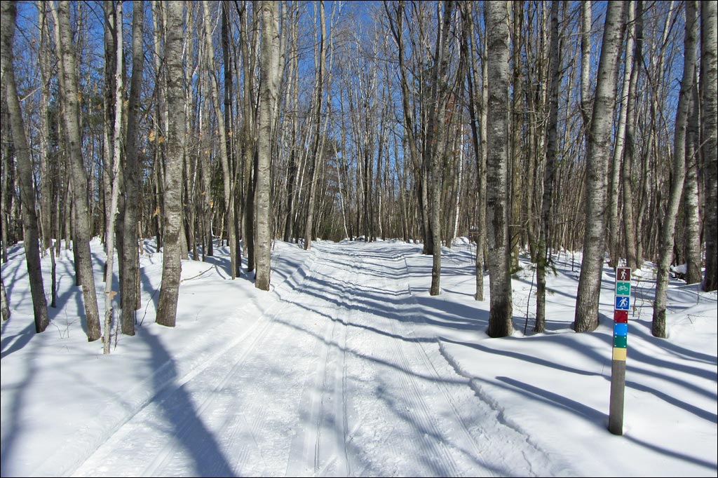 Madeline Lake Trail Image