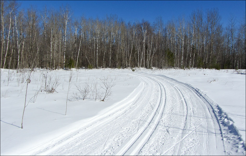 Madeline Lake Trail Image