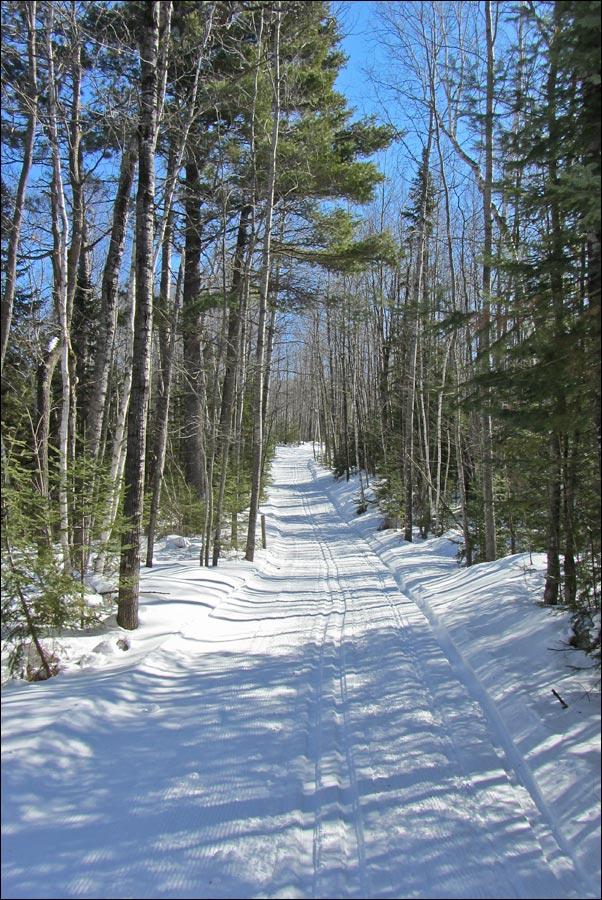 Madeline Lake Trail Image