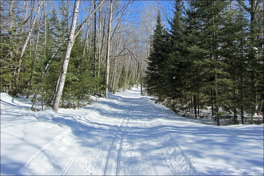 Madeline Lake Trail Image