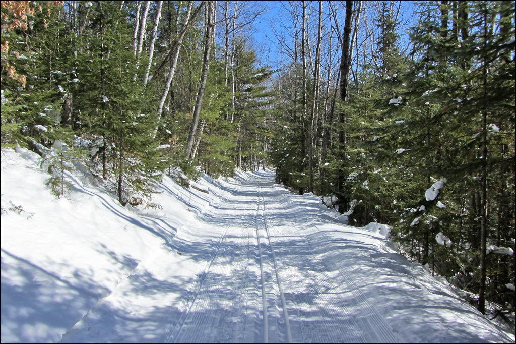 Madeline Lake Trail Image
