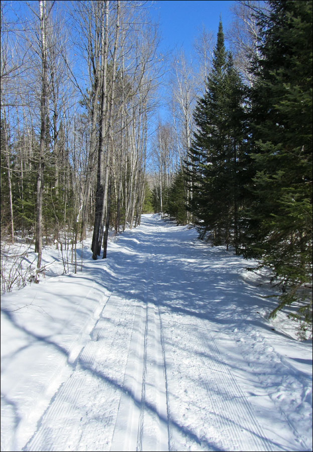 Madeline Lake Trail Image