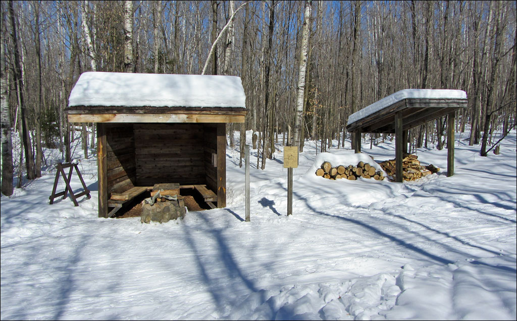 Madeline Lake Trail Image