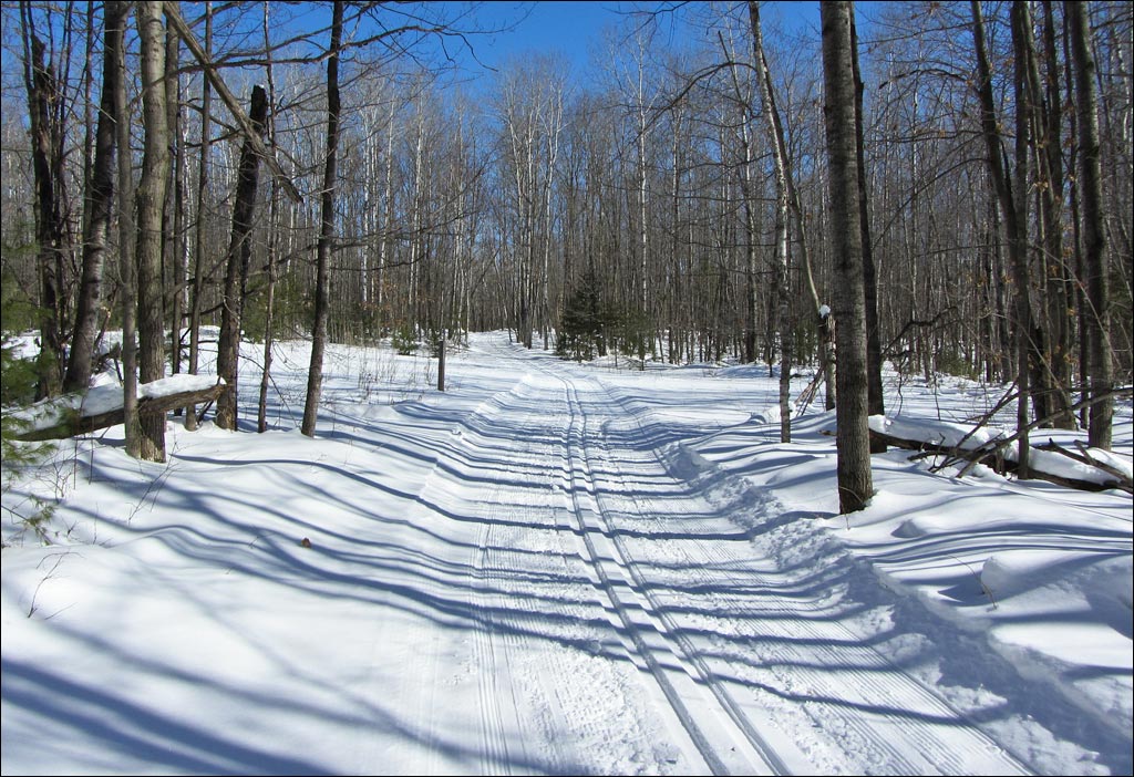 Madeline Lake Trail Image