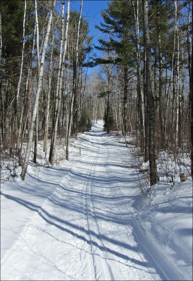 Madeline Lake Trail Image