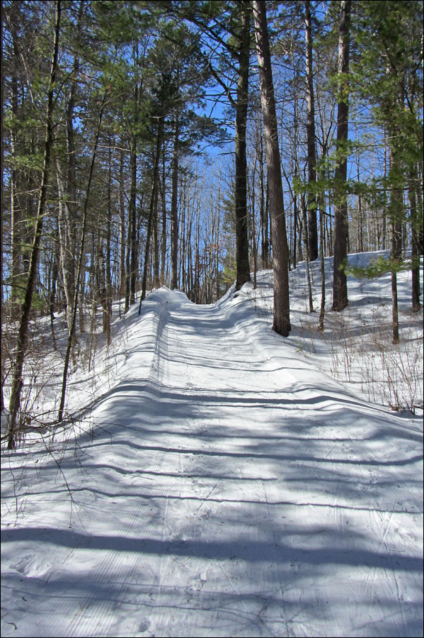 Madeline Lake Trail Image